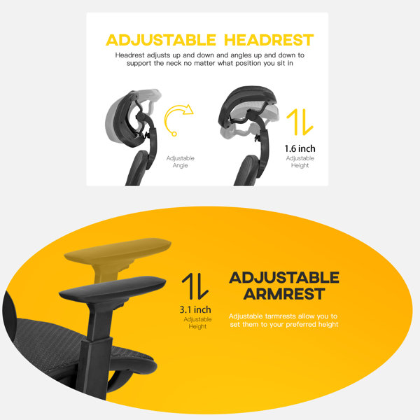 Inbox Zero Ergonomic Mesh Task Chair & Reviews Wayfair